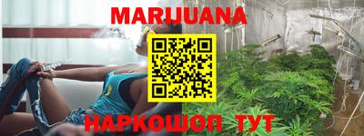 индика Мариинск