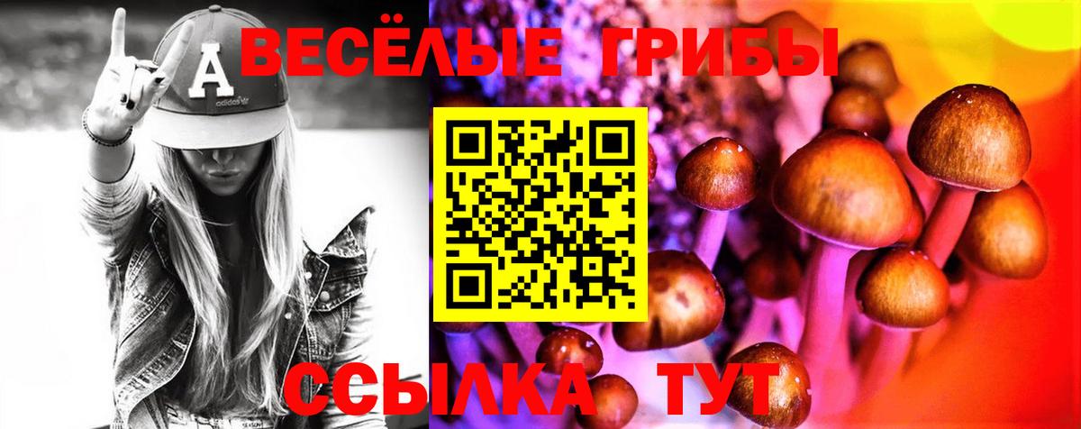 Чебоксары  Галлюциногенные грибы GOLDEN TEACHER  дарнет шоп  Вход с VPN 