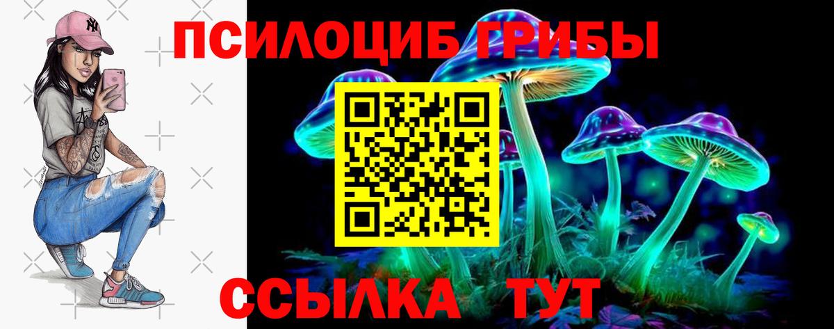 Псилоцибиновые грибы ЛСД Чебоксары